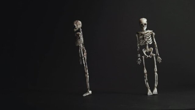 Two suspended skeletons dance on a black background. Preparing for a Halloween party. Scary skeletons of a monster hang and dance against a dark background. Autumn, Happy Halloween.