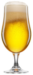 Tulip glass of cold beer with white foam and gas bubbles inside. File contains clipping path.