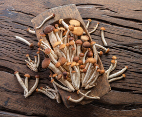 Armillaria mellea or honey mushrooms in the wooden bowl on the table. Top view.