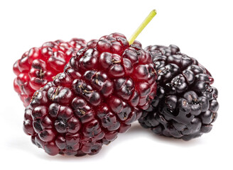 Three ripe black mulberries fruits isolated on white background.
