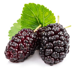 Ripe black mulberries fruits with green leaves isolated on white background.