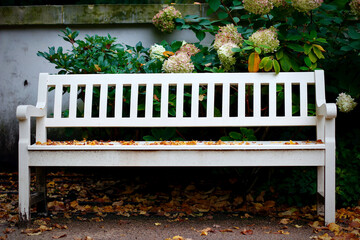 Usiądź na chwilę © SkyRobert