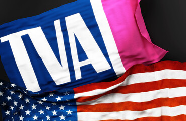 Obraz premium Flag of the Tennessee Valley Authority along with a flag of the United States of America as a symbol of a connection between them, 3d illustration