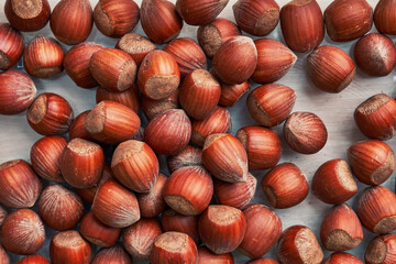 Healthy natural hazelnuts. Raw nuts texture