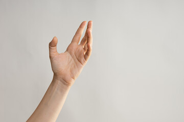 Hand gestures. An elegant female hand is open, palm up.