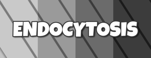 Endocytosis - text written on striped grey background