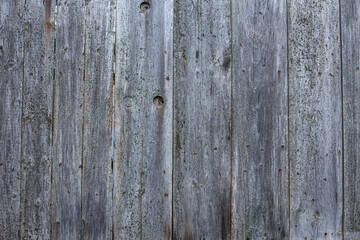 background, wooden, aged, gray