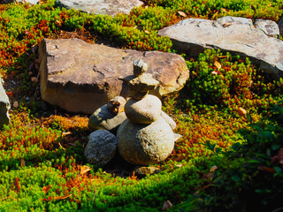 【京都】安楽寺の紅葉 散紅葉
