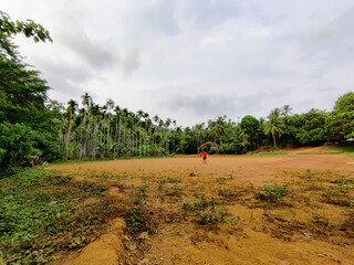 Few Kerala village children's playing cricket in the rural playground India