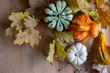 Autumn Harvest and Holiday still life. Happy Thanksgiving Banner. Selection of various pumpkins on light wooden background. Autumn vegetables and seasonal decorations