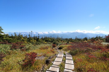 新潟県湯沢の苗場山の登山