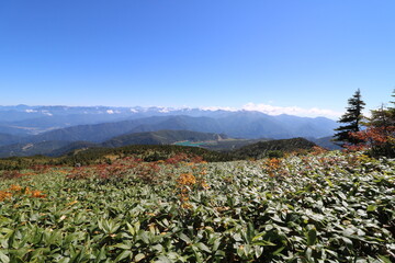 新潟県湯沢の苗場山の登山