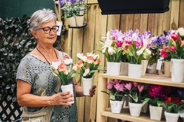 Senior woman holding fresh tulip flower pots and placing it on wooden shelf. Elderly woman in...