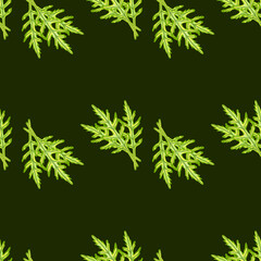 Seamless pattern bunch arugula salad on dark green background. Simple ornament with lettuce.