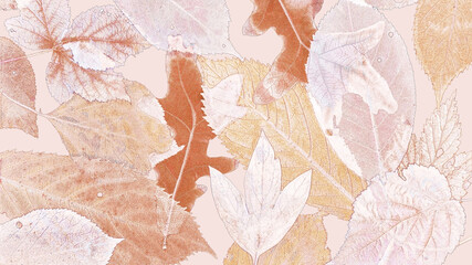 Graphic composition with stylized autumn leaves close-up. Natural floral pattern. 