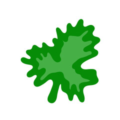 Green leaf of plant