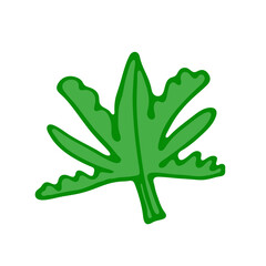 Green leaf of plant