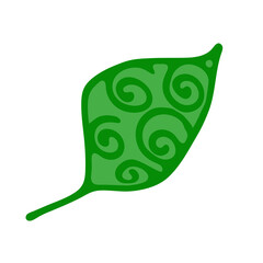 Green leaf of plant