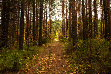 Obraz premium Кушва, Свердловская область. 