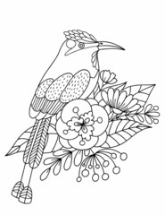 A tropical bird sits on a branch with flowers and leaves. Black and white vector illustration, coloring book.