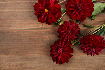 Obraz na płótnie Canvas Red dahlia flowers on brown wooden background, copy space.
