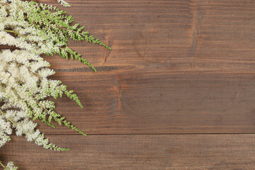 Astilbe twigs (spiraea) on wooden background, copy space.