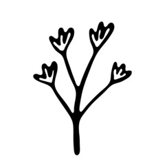 Hand drawn branch for banner, postcard or logo.