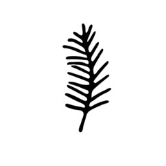 Hand drawn branch for banner, postcard or logo.