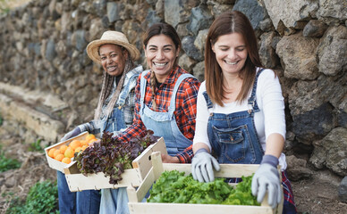 Agriculture senior women sitting after gardening holding wood box with fresh fruits and vegetable - Mature multiracial female friendship