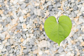 Heart-shaped leaves on the sand can be used as a background.