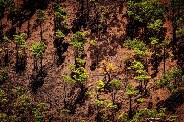 Fuencalientes, voulcanic route, La palma, Canary islands, Spain