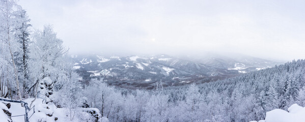 Panoramic view from viewpoint of Medvedi Kamen of winter snowy landscape in Jeseniky mountains.