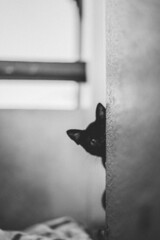 close up of a handle