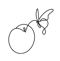 Drawing line apricot (peach, nectarine, plum) on the white  background. Vector
