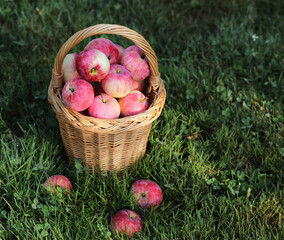 Red apples in a wicker basket.