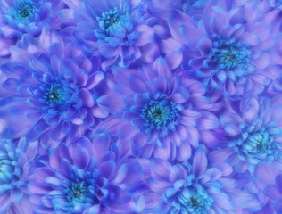 Beautiful flowers composition