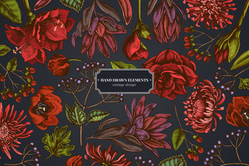 Floral design on dark background with viburnum, hypericum, tulip, aster, leucadendron, amaryllis