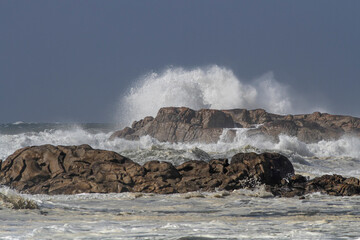 Sunny breaking sea waves