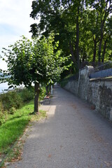 Rheinuferweg in Bad Breisig