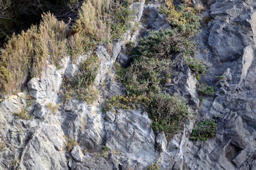 Fototapeta na wymiar 岩山の風景