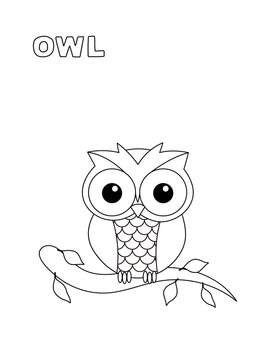 Cute baby owl on the tree branch black and white coloring page with name. Great illustration for toddlers and kids any age. Perfect to keep kids busy.