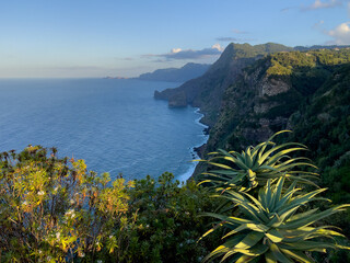 Auf der Insel Madeira