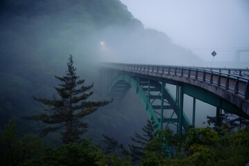 Fototapeta na wymiar 霧中のダムの廃橋