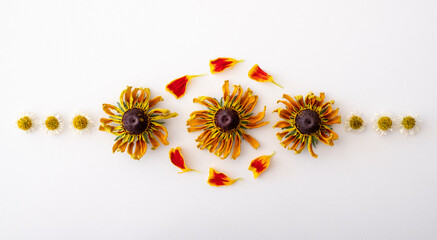 Dried purple aster, yellow rudbeckia hirta flowers and marigold petals, laid out in a symmetrical pattern on a white background.