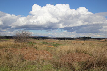 Fototapeta premium Paysage nuage