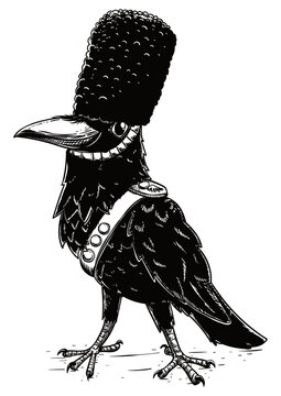 An Elegant Raven wearing like a Queen's Guard, Vector Illustration