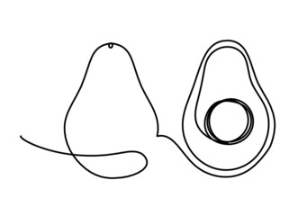 Drawing line avocado on the white background. Vector
