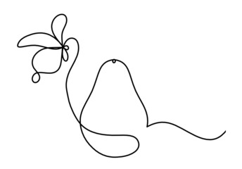 Obraz premium Drawing line avocado on the white background. Vector