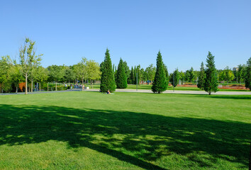 A beautiful landscape of the park and a recreation area in the city, a green field and a tree, beautiful shadows from trees