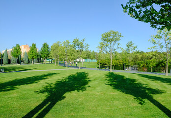 A beautiful landscape of the park and a recreation area in the city, a green field and a tree, beautiful shadows from trees